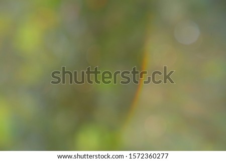 Blurry Green leaves abstract background and bokeh 