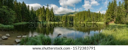 lake in the forest in lower tatra mountains Royalty-Free Stock Photo #1572383791