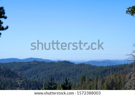Landscape Green nature view of Yosemite Tunnel - Pine tree valley at Yosemite National Park Wawona Rd, California, USA