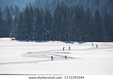 Cross Country Ski Track, Balderschwang, Allgaeu, Bavaria, Germany