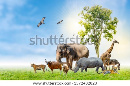 Wildlife Conservation Day Wild animals to the home. Or wildlife protection Royalty-Free Stock Photo #1572432823