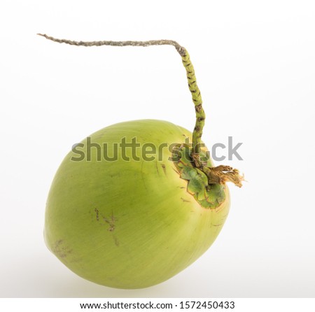 close up green Thai young coconut fruit on white background, Cocos nucifera L.