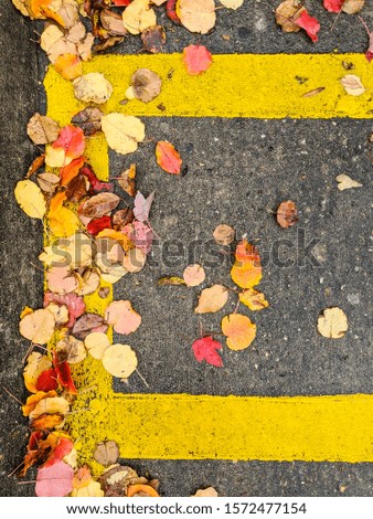 Fall Leaves In Parking Lot