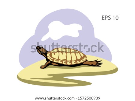 Turtle illustration, flat vector image.