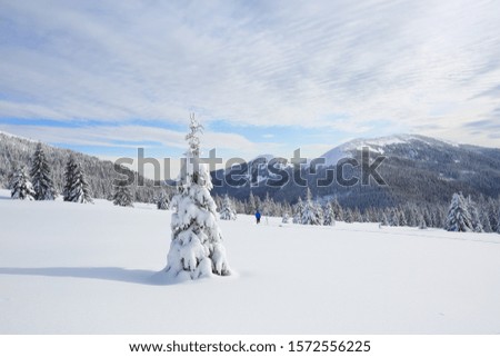 Beautiful landscape of high mountains, wood and blue sky. Winter scenery. Lawn covered with white snow. Location place Carpathian, Ukraine, Europe.