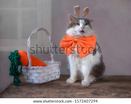 Funny cat with rabbit-like ears and a big carrot in a basket