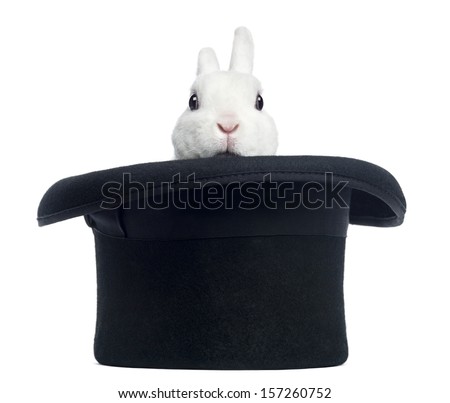 Mini rex rabbit appearing from a top hat, isolated on white