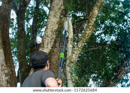 tree worker has cut a large tree limb off with a pole saw Royalty-Free Stock Photo #1572625684
