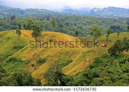 Stock Photo-Paddy Field or Zoom Cultivation, Bandarban, Bangladesh. Beautiful Hills Landscape.