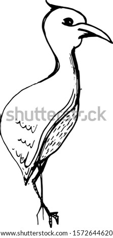 Ink hand drawn bird sketch. Vector outline illusytation