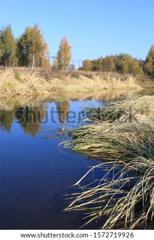 autumn river  trees landscape mirror