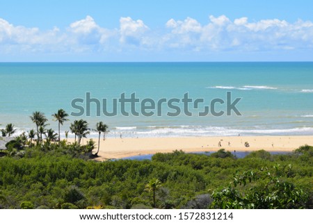 Beautiful beach in southern Bahia.