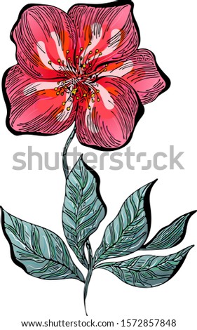 Summer tropical flat flower. Floral botanical flower isolated on white background. Hand drawn vector illustration. Botanical hawaii nature. Tropical flat icon. Hawaiian vector tattoo illustration