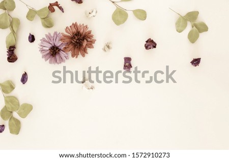 Flowers background. Composition from dried flowers and eucalyptus leaves pattern on white backdrop.Top view, flat lay. Copy space. Minimal floral card