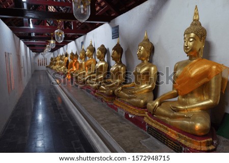 Many brass Buddha statues arranged in a long line