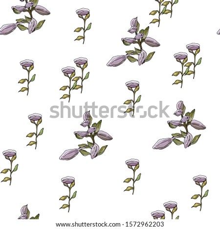 Seamless pattern with   flower bud Lily violet
romantic elements endless texture for  design  flower Bud 
