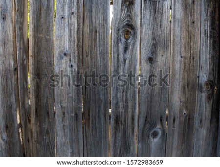Interior Design - Wooden wall, old wooden board texture, grunge background