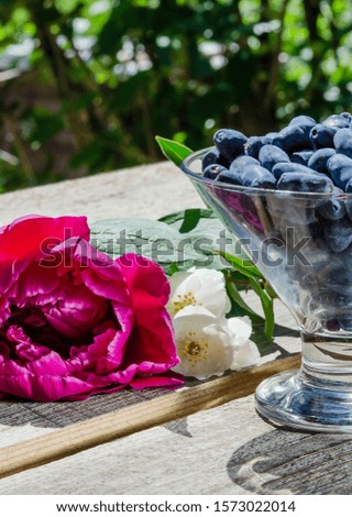 Berries of blue Siberian honeysuckle for dessert