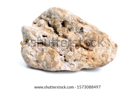 Ambergris, ambre gris, ambergrease or grey amber. Isolated on white background. Royalty-Free Stock Photo #1573088497