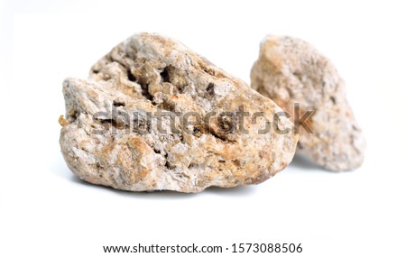 Ambergris, ambre gris, ambergrease or grey amber. Isolated on white background. Royalty-Free Stock Photo #1573088506