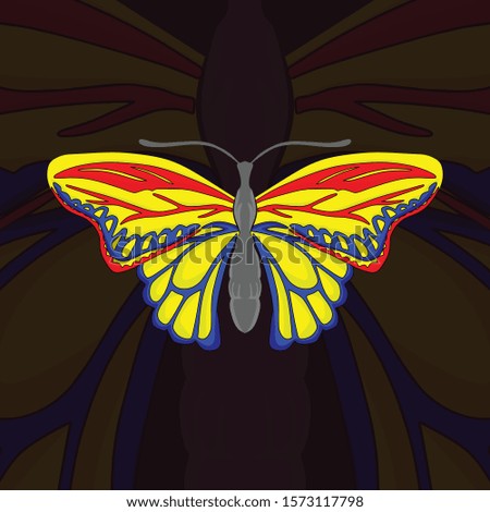 butterfly colour full design vector