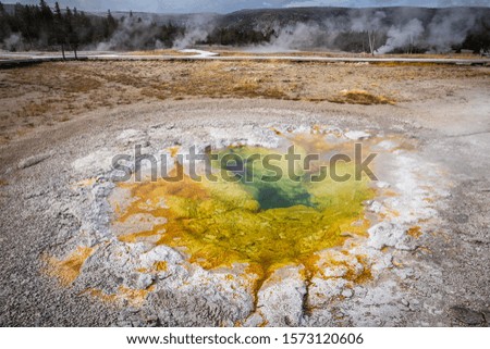 Green and yellow geyser basin with boiling water from geothermal heat, Yellostone National Park, Wyoming, USA. Colors of basin depending on temperature and kind of bacteria inside.