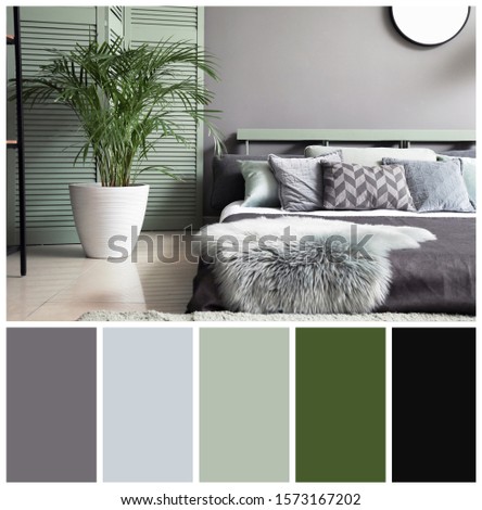 Beautiful interior of modern stylish bedroom. Different color patterns