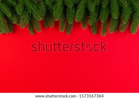 Top view of green fir tree branches on colorful background. New year holiday concept with empty space for your design.