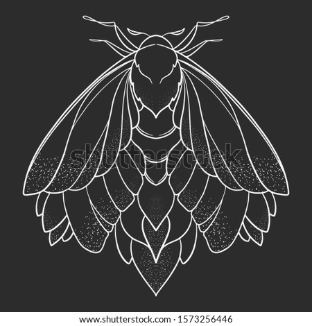 Butterfly sketch. Detailed realistic sketch of a moth