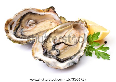 Oysters on a white background with lemon Royalty-Free Stock Photo #1573306927