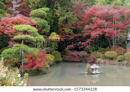 Beautiful landscape of autumn foliage in Japan.