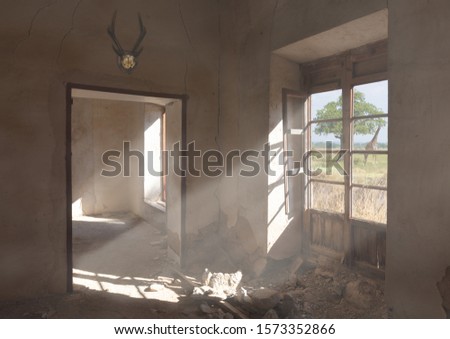 An old abandoned farmhouse near Windhoek in Namibia. The sun forms rays of light in the house. Outside, a big tree and a giraffe.