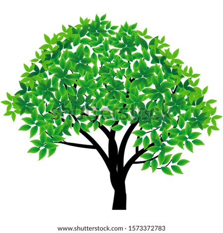 Green leaf tree on a white background. Vector illustration. - Vector