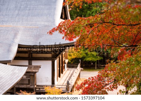 Autumn fall in japan pavilion.