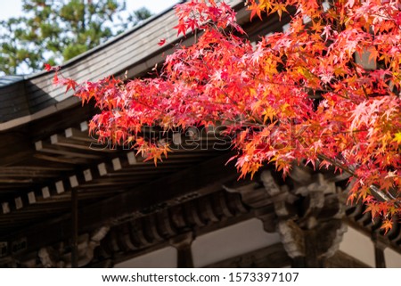 Autumn fall in japan pavilion.