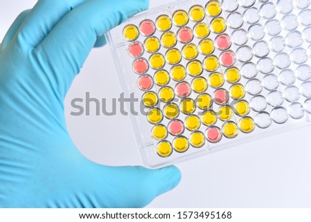 Enzyme-linked immunosorbent assay or ELISA plate, Immunology testing method in medical laboratory Royalty-Free Stock Photo #1573495168
