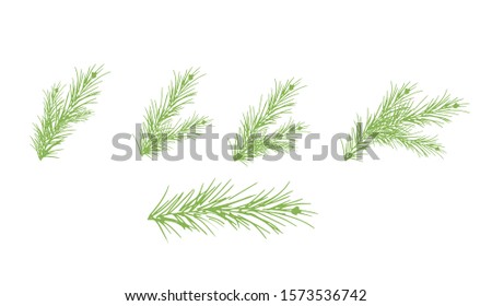 Green branches of the tree. Vector illustration for Christmas, New Year.