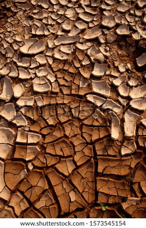 After the rains, the hot sun drys the mud cracking it. Purros, Kaokoland, Kunene region, Namib desert, Namibia.
