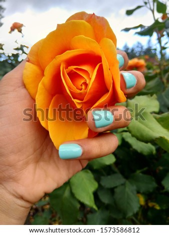 Bright orange rose with neon real nails holding it.