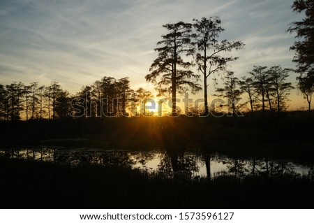sun reflecting into the bayou in the marsh