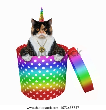 The multi colored caticorn with a golden locket in its neck is inside a cylindrical rainbow polka-dot gift box. White background. Isolated.