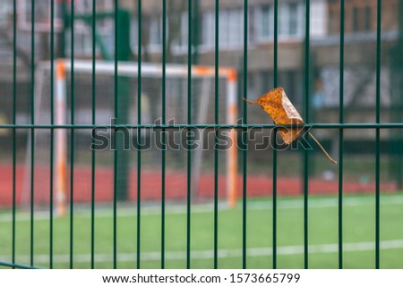 Autumn leaf stuck in the fence against the backdrop of a sports court. Background in blur.