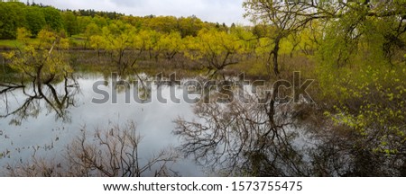 Reflection of trees on Walden Pond  Royalty-Free Stock Photo #1573755475