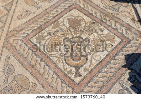 old ancient basilica mosaic on the ground on a roman church with snake peacock and grape and wine symbols. photo taken on the archeological site on the village of Lin on east Albania near Pogradec