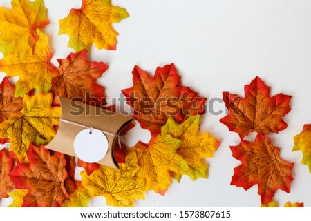 The gift box , maple leaf and  tag for text with white background
