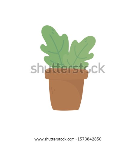 Plant inside pot design, Garden ornament nature botany natural and floral theme Vector illustration