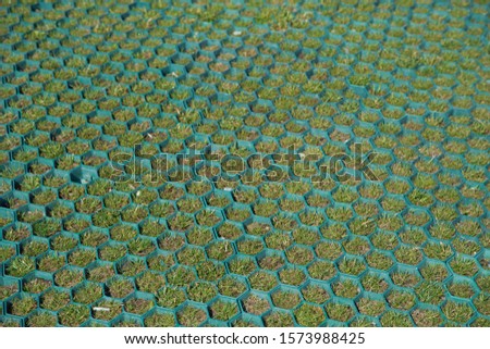 A bee nest design pattern .floor with honeycomb pattern background different gradient by green .