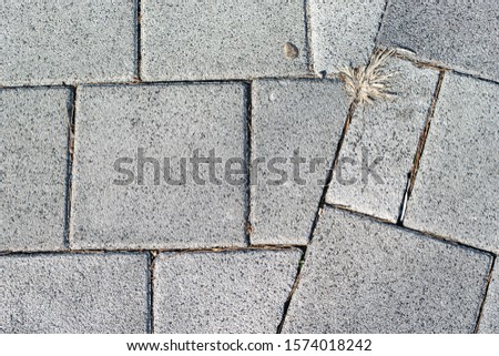 The pattern of wall , floor or roof