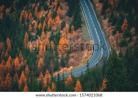 Minimalism photo, runners on the road in colorful autumn landscape