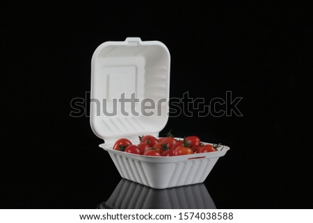 Disposable Biodegradable Sugarcane Bagasse Food Container